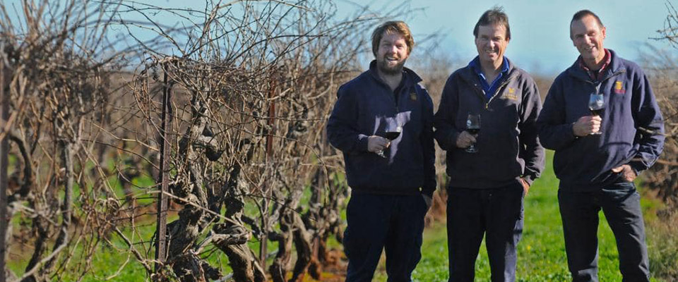 Dan, Bruce and Mal standing in the Redman Vineyard with glasses of wine