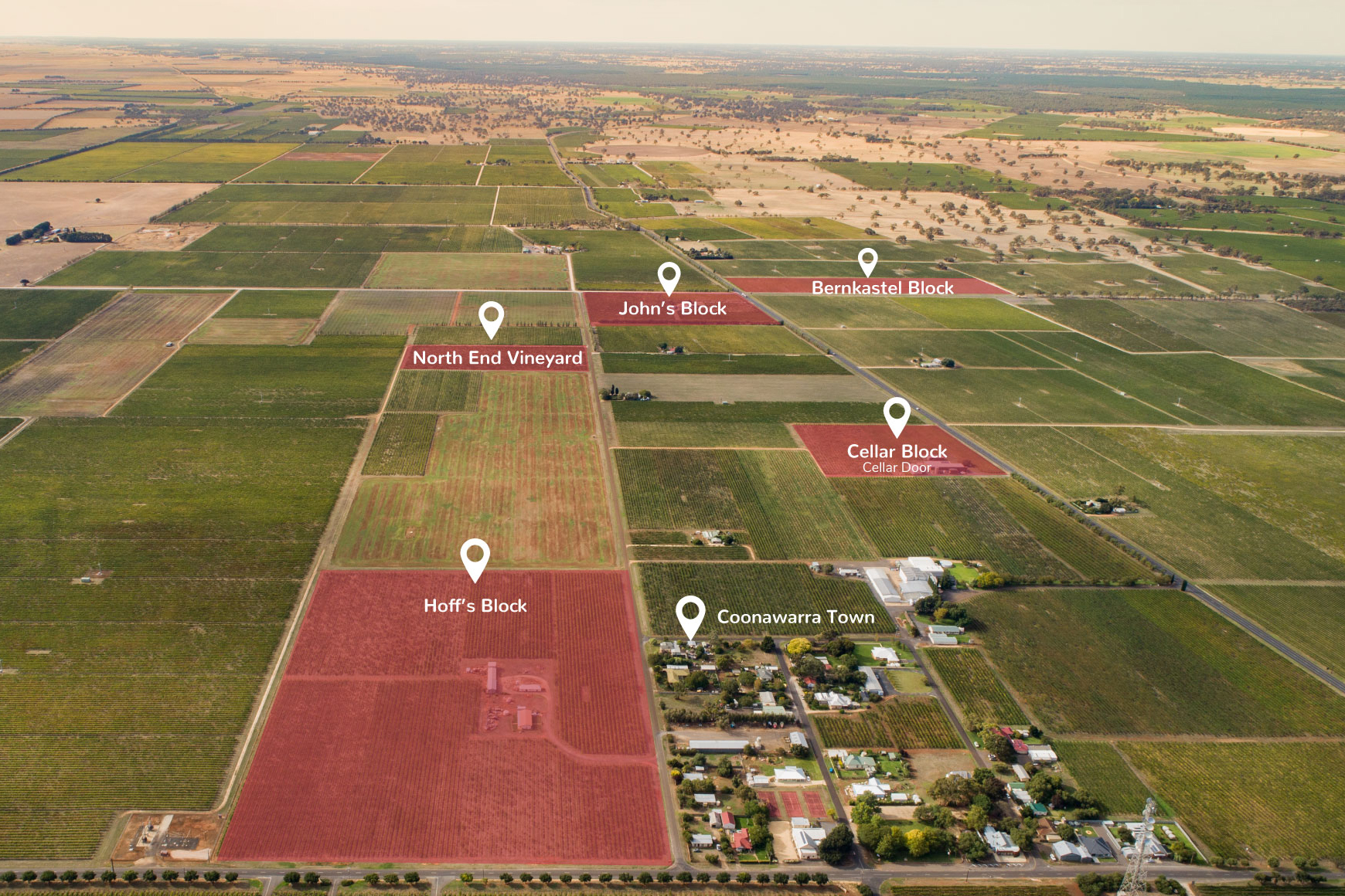 Redman Vineyards
