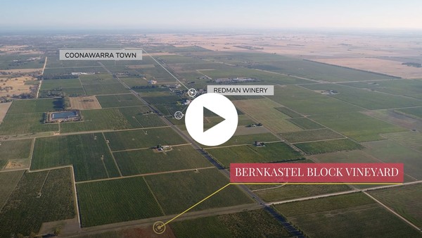 Bernkastel Vineyard Aerial View