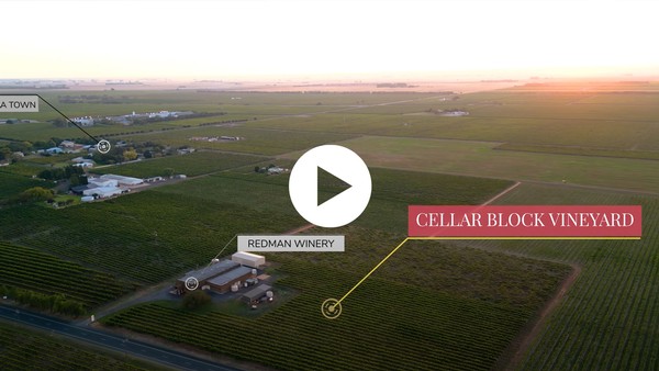 Cellar Block Vineyard Aerial View