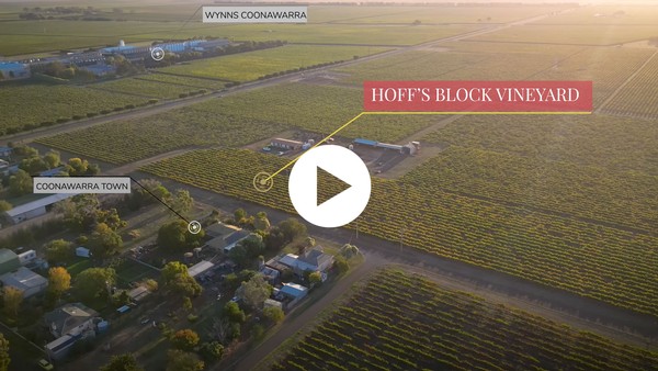 Hoff's Block Vineyard Aerial View