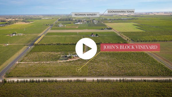 John's Block Vineyard Aerial View