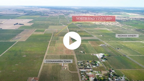 North End Vineyard Aerial View